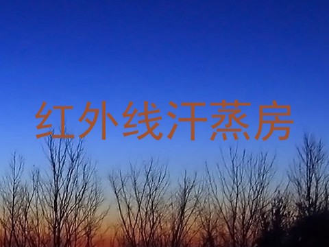 红外线汗蒸房