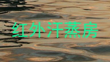 红外汗蒸房