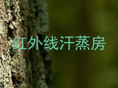 红外线汗蒸房