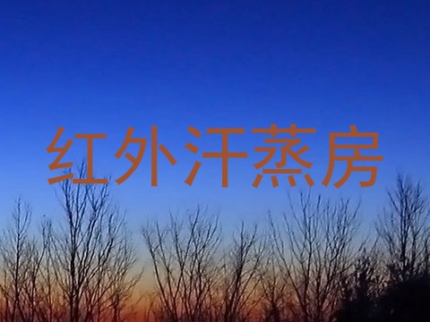 红外汗蒸房
