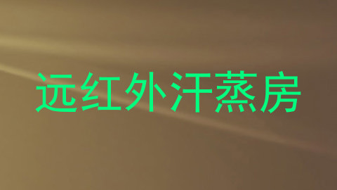 远红外汗蒸房