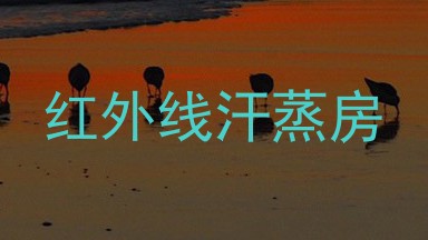红外线汗蒸房