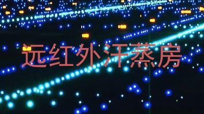 远红外汗蒸房