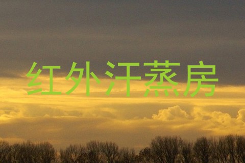 红外汗蒸房