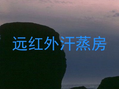 远红外汗蒸房