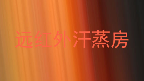 远红外汗蒸房