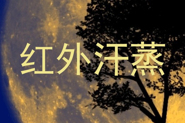 红外汗蒸
