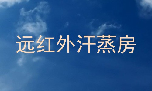 远红外汗蒸房
