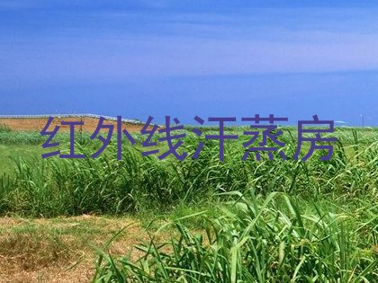 红外线汗蒸房