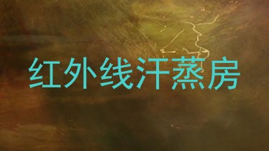 红外线汗蒸房