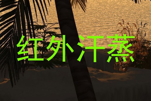红外汗蒸