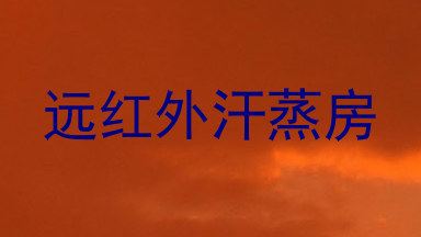 远红外汗蒸房