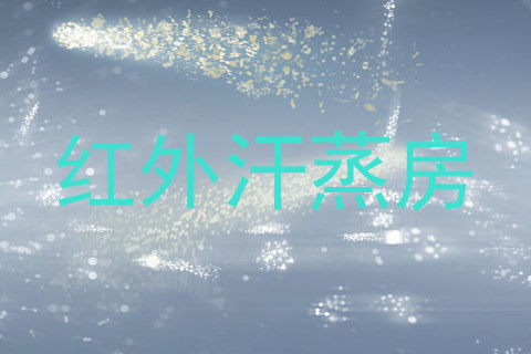 红外汗蒸房