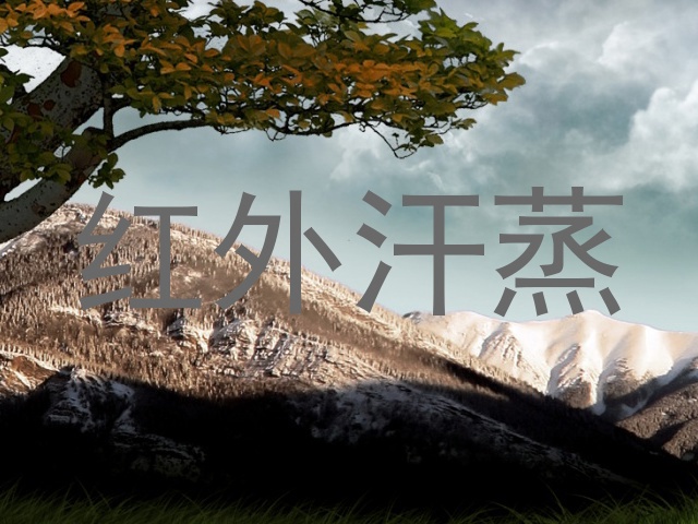 红外汗蒸