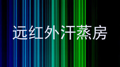 远红外汗蒸房