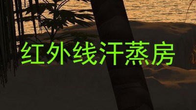 红外线汗蒸房