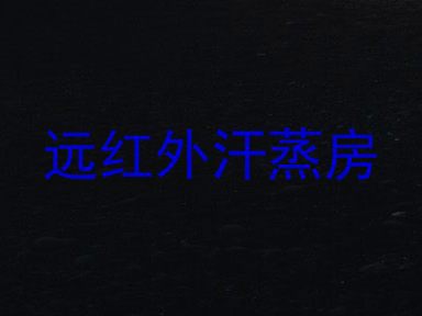 远红外汗蒸房