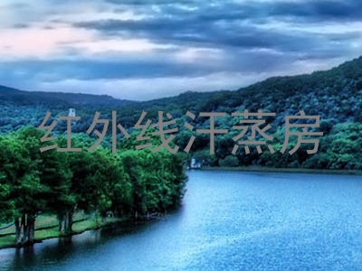 红外线汗蒸房
