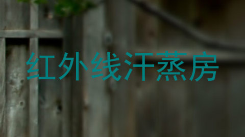 红外线汗蒸房