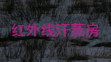 红外线汗蒸房