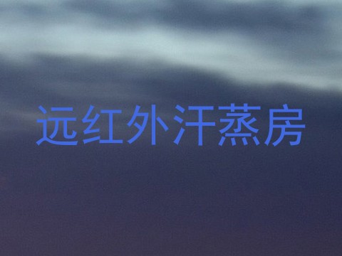 远红外汗蒸房