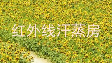 红外线汗蒸房