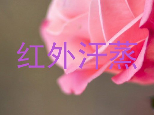 红外汗蒸