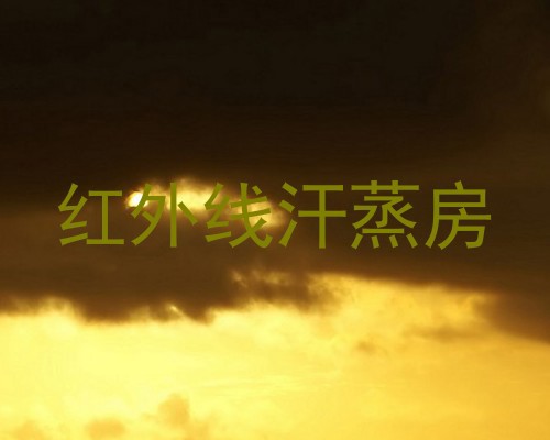 红外线汗蒸房