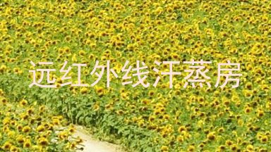 远红外线汗蒸房