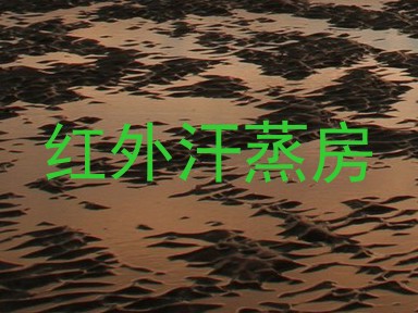 红外汗蒸房