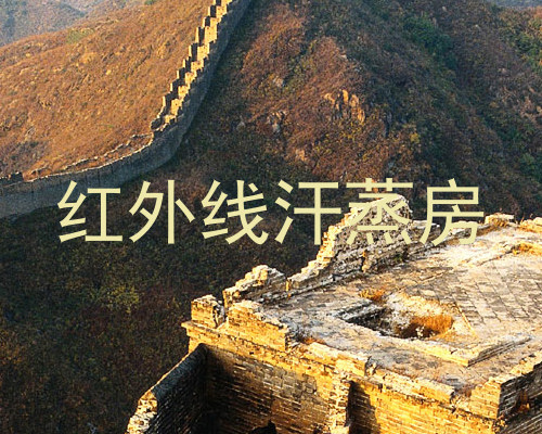 红外线汗蒸房