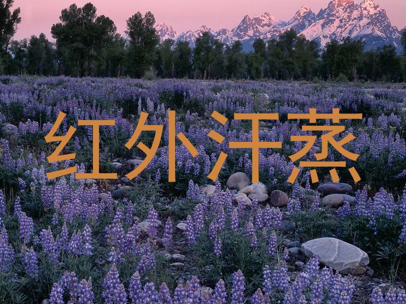 红外汗蒸