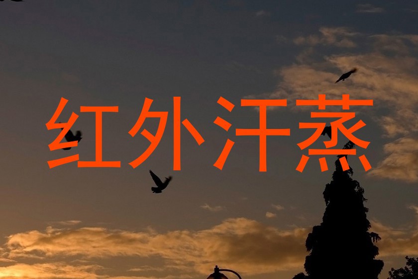 红外汗蒸