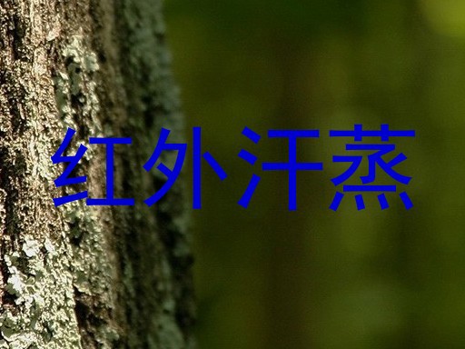 红外汗蒸