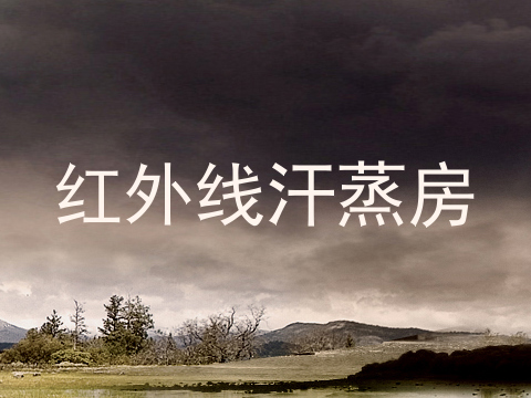 红外线汗蒸房