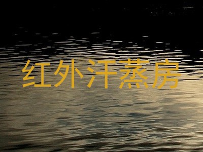 红外汗蒸房