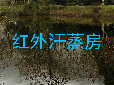 红外汗蒸房