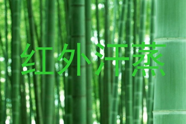 红外汗蒸