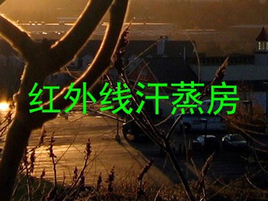 红外线汗蒸房