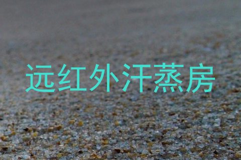 远红外汗蒸房