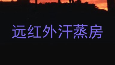 远红外汗蒸房