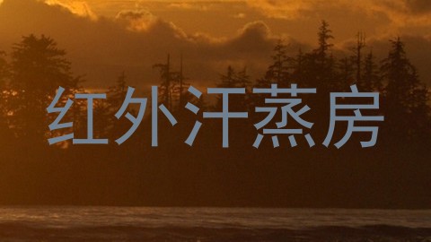 红外汗蒸房