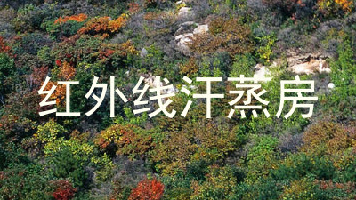 红外线汗蒸房