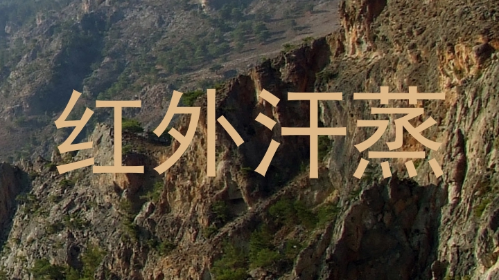 红外汗蒸