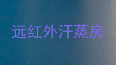 远红外汗蒸房