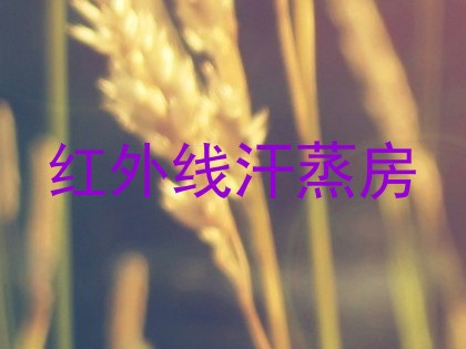 红外线汗蒸房