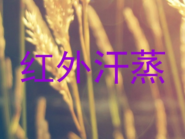 红外汗蒸