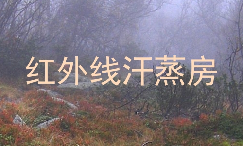 红外线汗蒸房