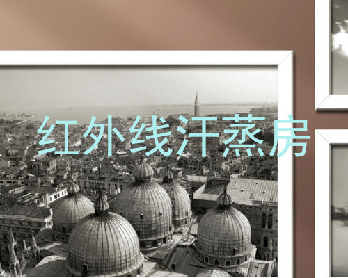 红外线汗蒸房