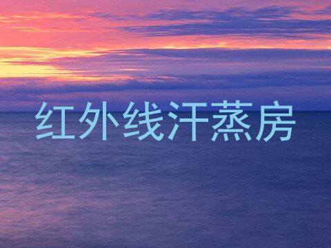 红外线汗蒸房